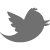 Twitter social media icon